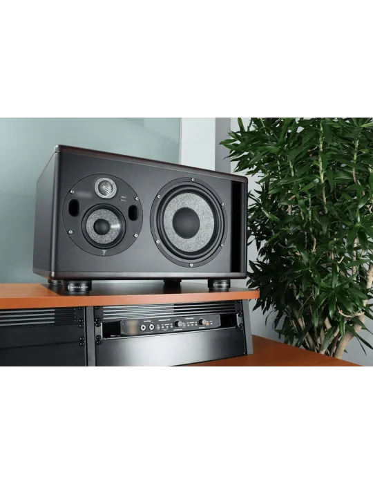  ISOACOUSTICS ISOPUCK76 2er-Set Lautsprecher-Isolationspads|MusicGoodDeal 