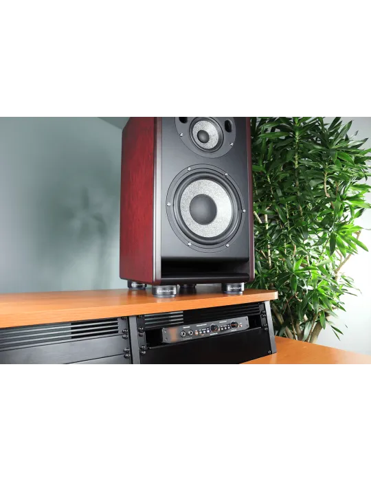  ISOACOUSTICS ISOPUCK76 2er-Set Lautsprecher-Isolationspads|MusicGoodDeal 