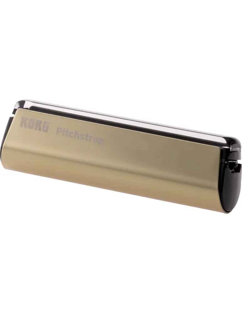 KORG PST-1-GD | MusicGoodDeal