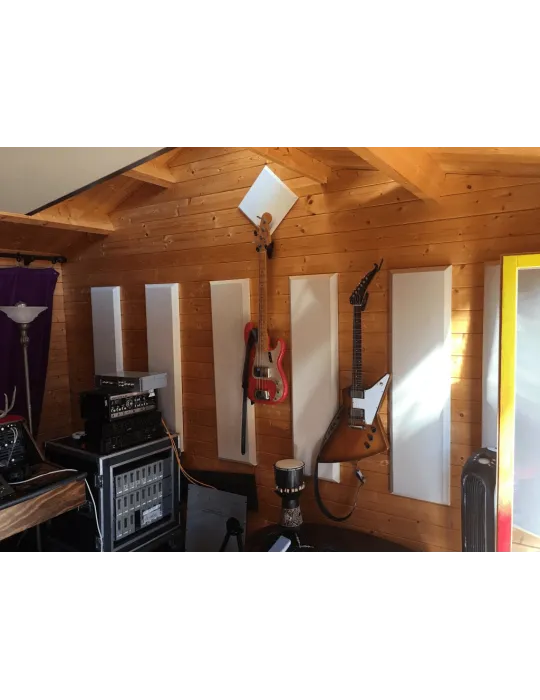 PRIMACOUSTIC PAINT2-12X48BV | MusicGoodDeal