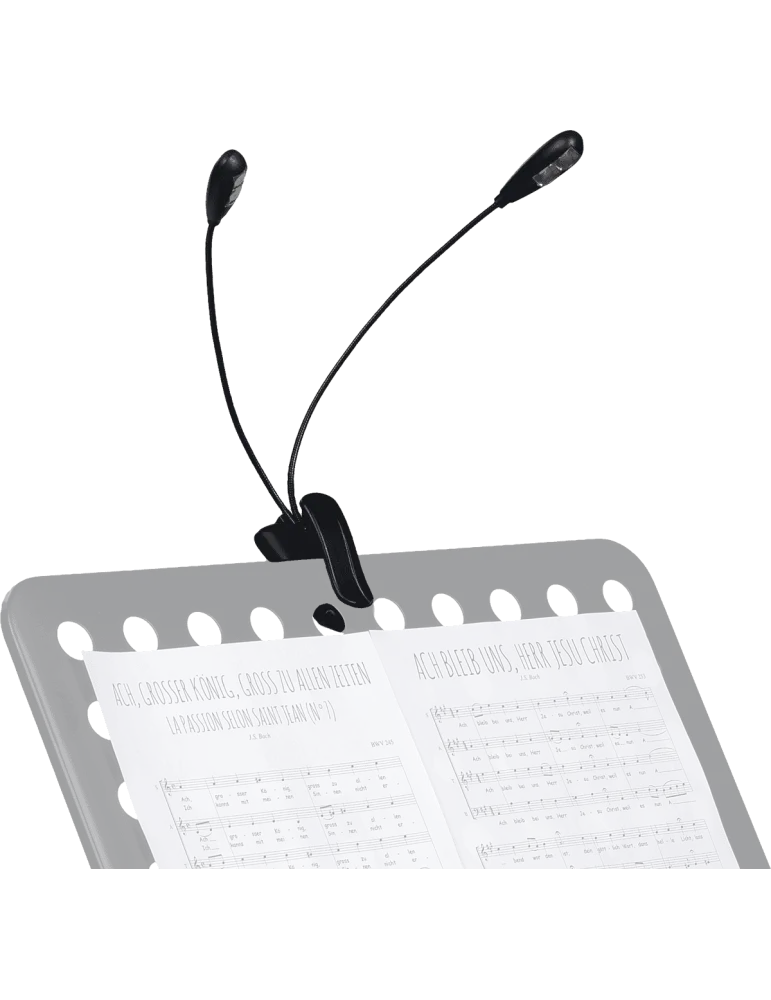  RTX LP2L 2 Lampen auf Clip-Schläuchen (4 Led)|MusicGoodDeal 