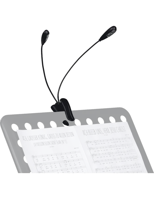  RTX LP2L 2 Lampen auf Clip-Schläuchen (4 Led)|MusicGoodDeal 