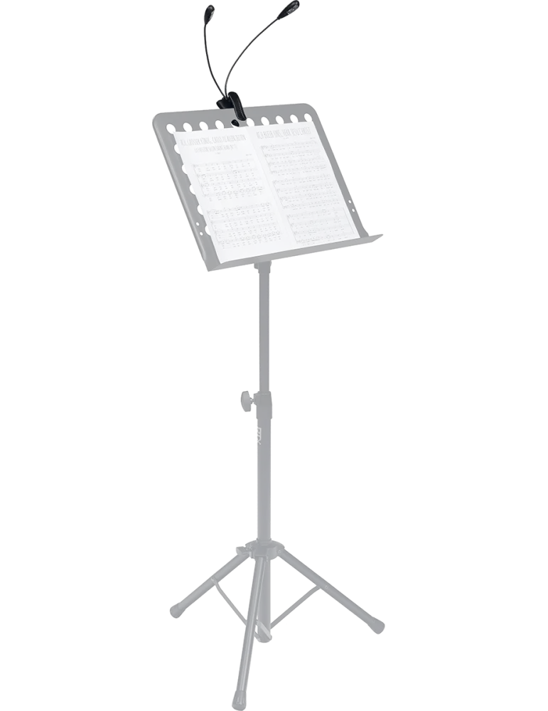  RTX LP2L 2 Lampen auf Clip-Schläuchen (4 Led)|MusicGoodDeal 
