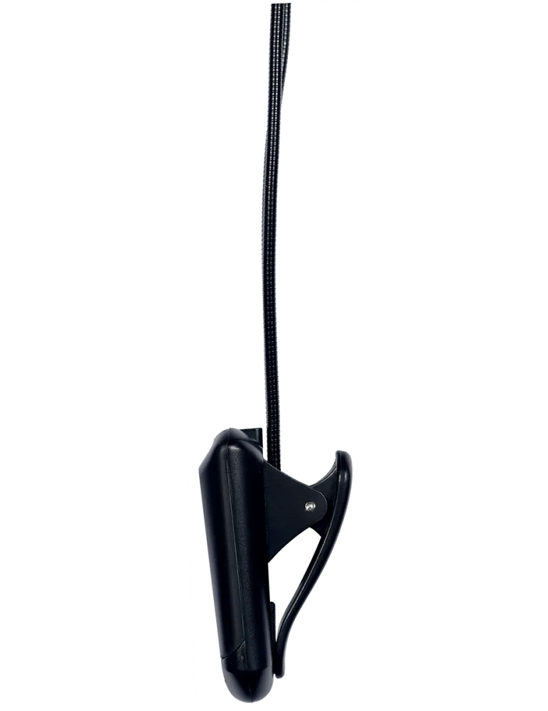  RTX LP2L 2 Lampen auf Clip-Schläuchen (4 Led)|MusicGoodDeal 