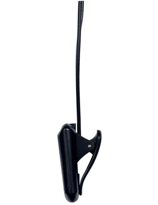  RTX LP2L 2 Lampen auf Clip-Schläuchen (4 Led)|MusicGoodDeal 