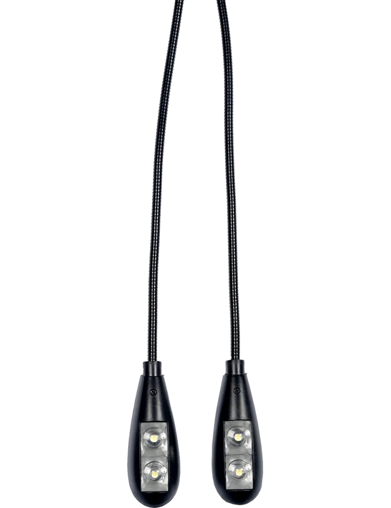  RTX LP2L 2 Lampen auf Clip-Schläuchen (4 Led)|MusicGoodDeal 