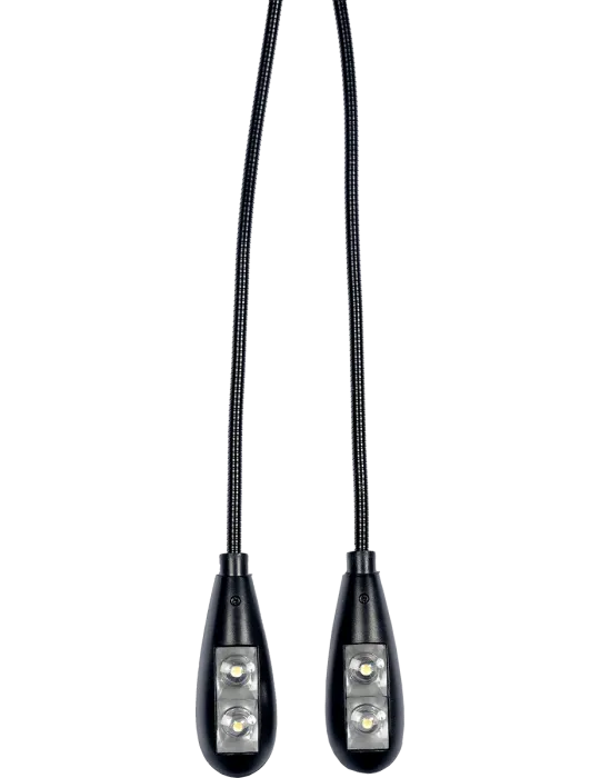  RTX LP2L 2 Lampen auf Clip-Schläuchen (4 Led)|MusicGoodDeal 