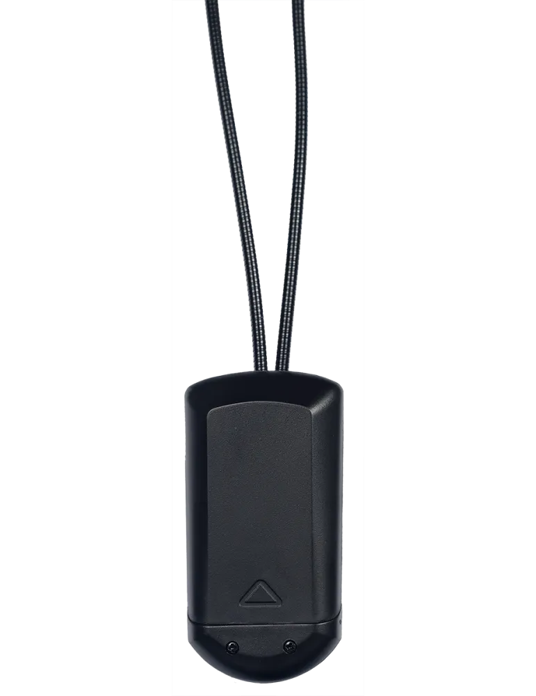  RTX LP2L 2 Lampen auf Clip-Schläuchen (4 Led)|MusicGoodDeal 