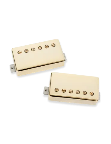 SEYMOUR DUNCAN SLASH-2S-G