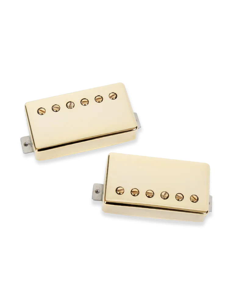 SEYMOUR DUNCAN SLASH-2S-G | MusicGoodDeal