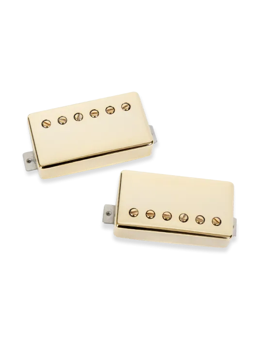 SEYMOUR DUNCAN SLASH-2S-G | MusicGoodDeal