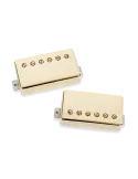 SEYMOUR DUNCAN SLASH-2S-G | MusicGoodDeal