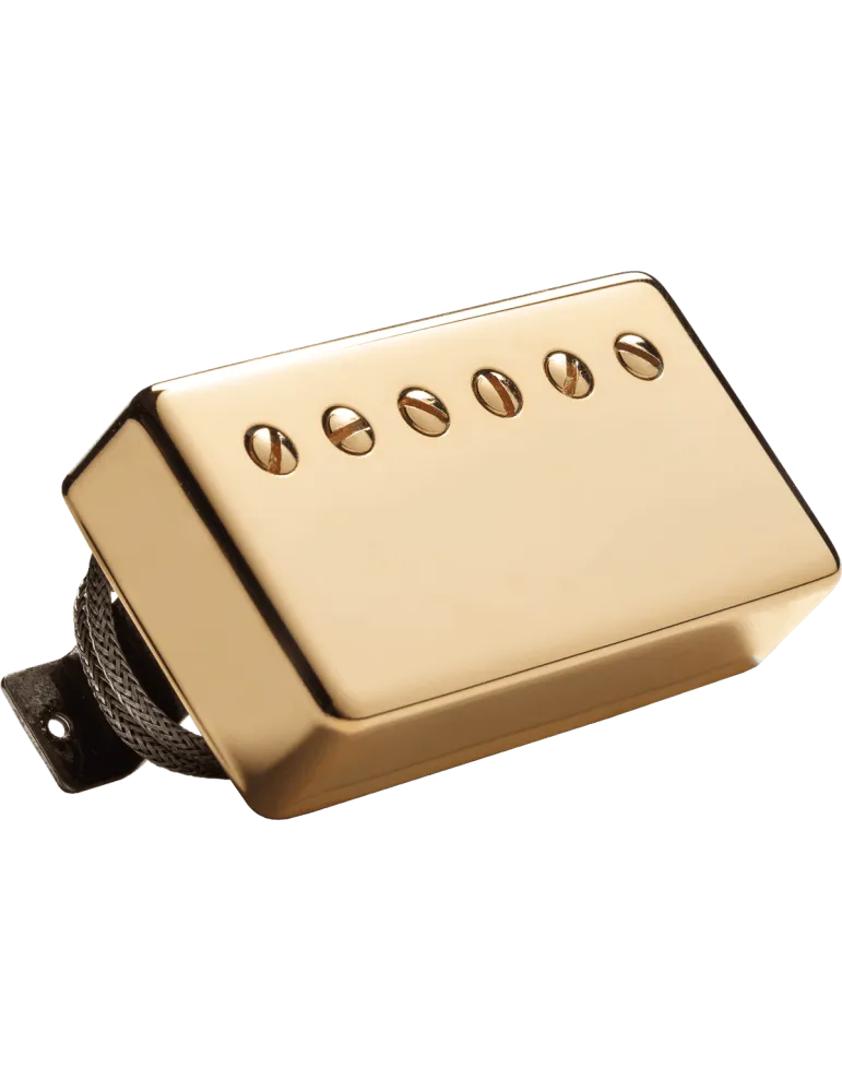 SEYMOUR DUNCAN APH-2B-G | MusicGoodDeal