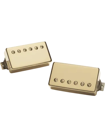 SEYMOUR DUNCAN APH-2S-G | MusicGoodDeal