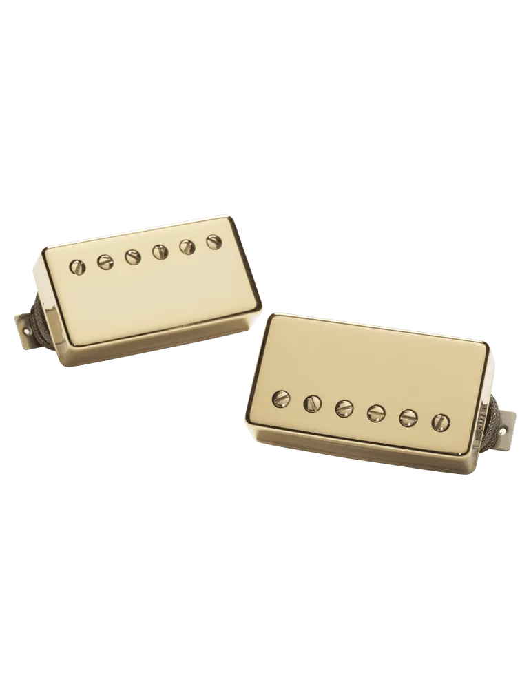 SEYMOUR DUNCAN APH-2S-G | MusicGoodDeal