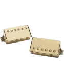 SEYMOUR DUNCAN APH-2S-G | MusicGoodDeal