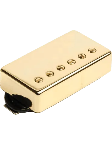 SEYMOUR DUNCAN APH-1B-G | MusicGoodDeal