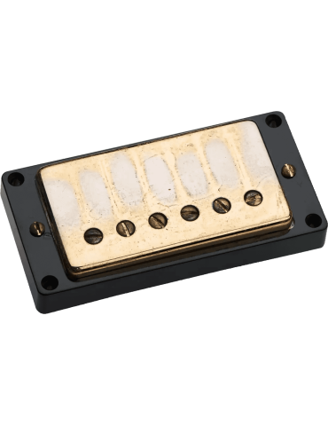 SEYMOUR DUNCAN AN1405-G | MusicGoodDeal