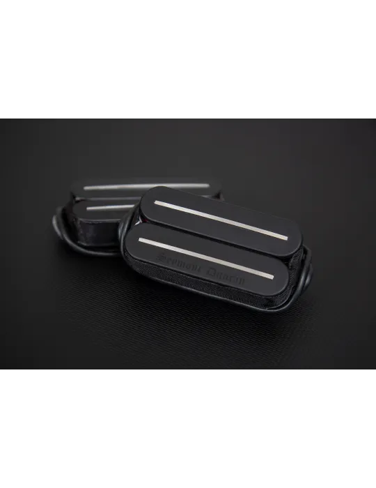 SEYMOUR DUNCAN BW-R-SET | MusicGoodDeal