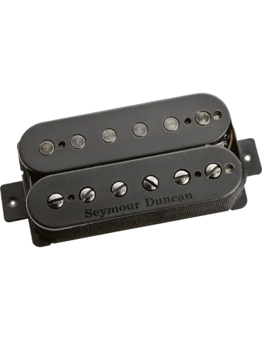 SEYMOUR DUNCAN PGS