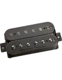 SEYMOUR DUNCAN PGS | MusicGoodDeal