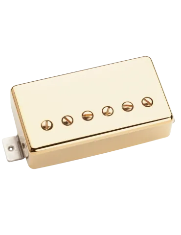 SEYMOUR DUNCAN LARI-B-G | MusicGoodDeal