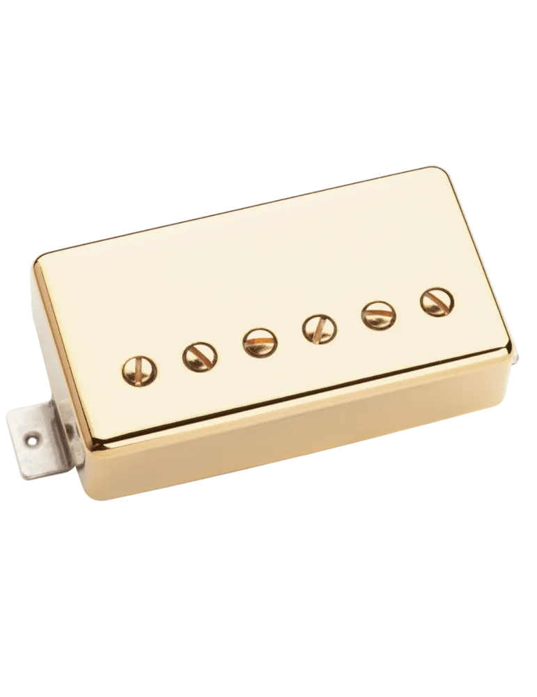 SEYMOUR DUNCAN LARI-B-G | MusicGoodDeal