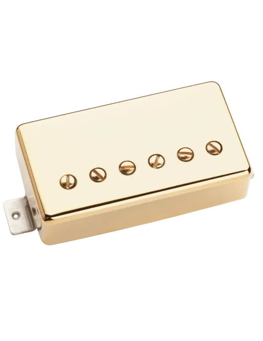 SEYMOUR DUNCAN LARI-B-G | MusicGoodDeal