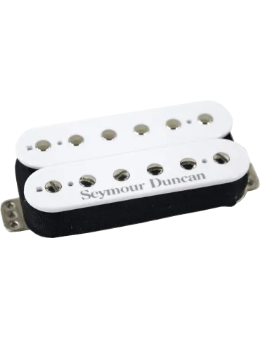 SEYMOUR DUNCAN TB-PG1B-W | MusicGoodDeal