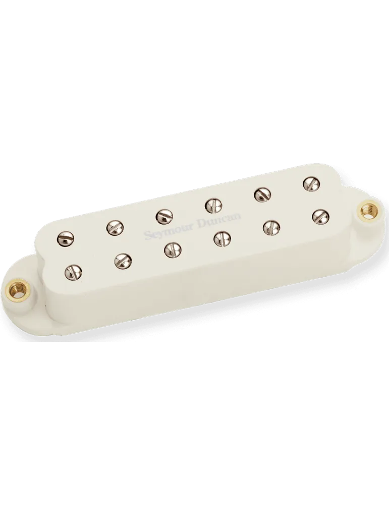 SEYMOUR DUNCAN SL59-1B-P | MusicGoodDeal