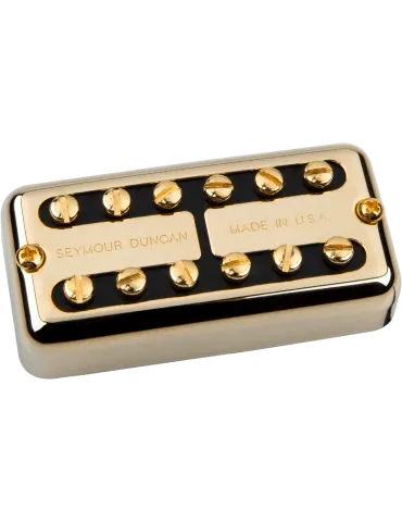 SEYMOUR DUNCAN PSY-HOT-N-G | MusicGoodDeal