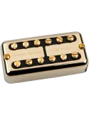 SEYMOUR DUNCAN PSY-HOT-B-G | MusicGoodDeal
