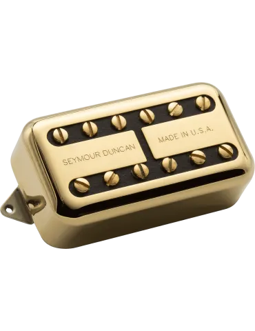 SEYMOUR DUNCAN PSY-HB-B-G
