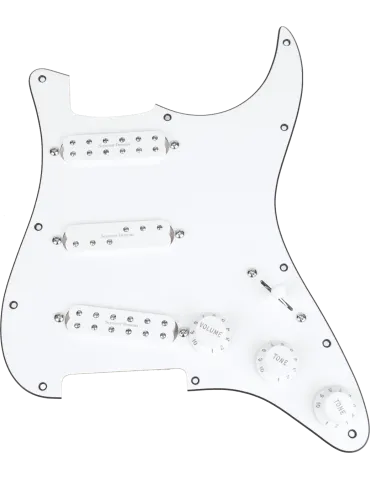 SEYMOUR DUNCAN AXE-PG-W | MusicGoodDeal