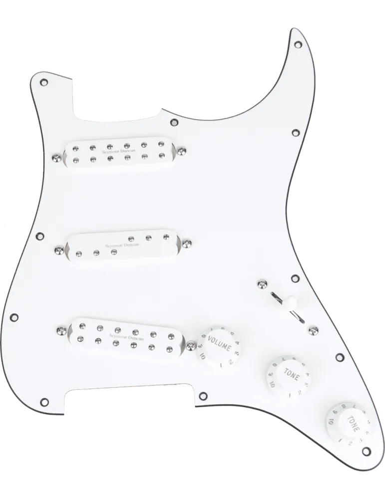 SEYMOUR DUNCAN AXE-PG-W | MusicGoodDeal