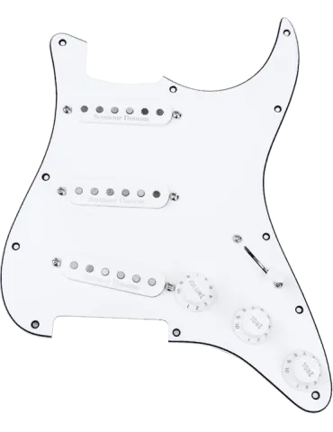 SEYMOUR DUNCAN STK-PG-W | MusicGoodDeal