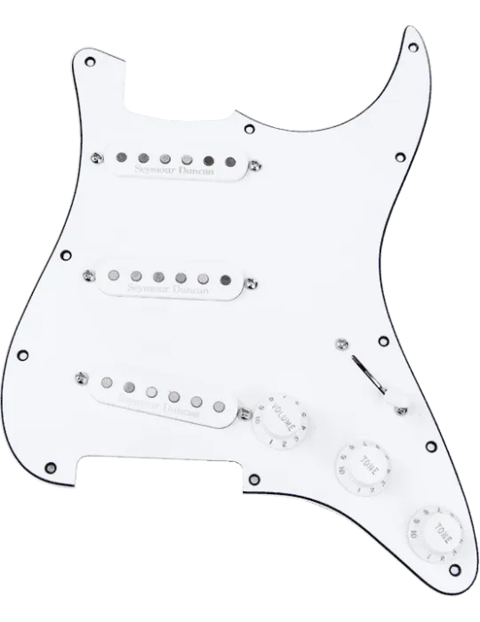 SEYMOUR DUNCAN STK-PG-W | MusicGoodDeal