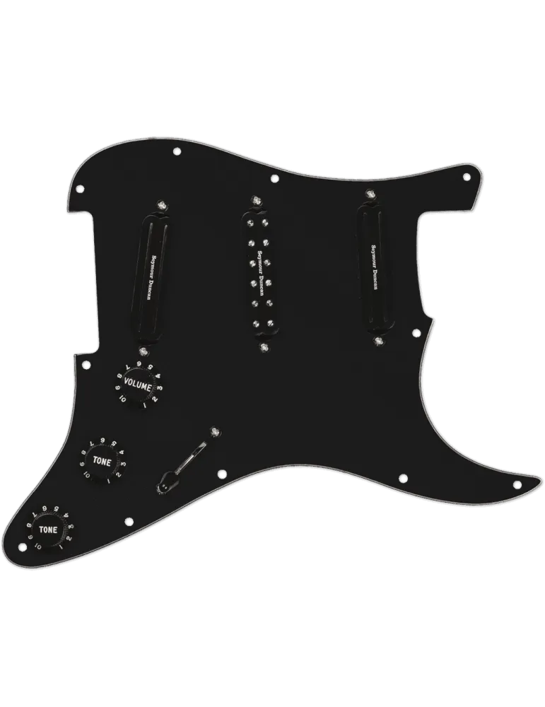 SEYMOUR DUNCAN DMLP-B | MusicGoodDeal