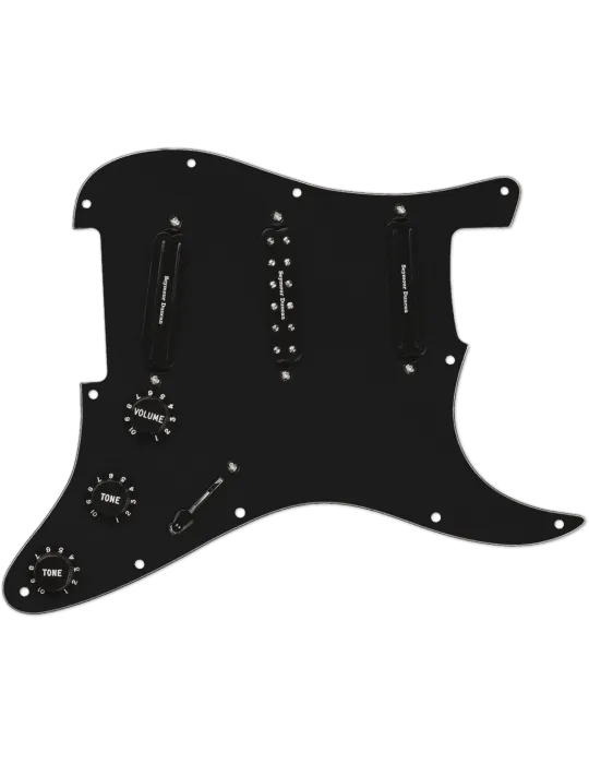 SEYMOUR DUNCAN DMLP-B | MusicGoodDeal