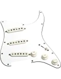 SEYMOUR DUNCAN STK-S10PGD-W | MusicGoodDeal