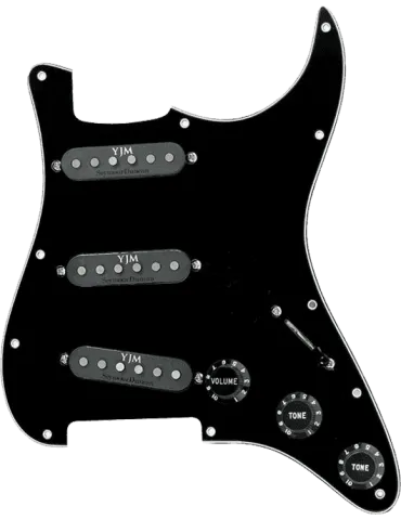 SEYMOUR DUNCAN STK-S10PGD | MusicGoodDeal