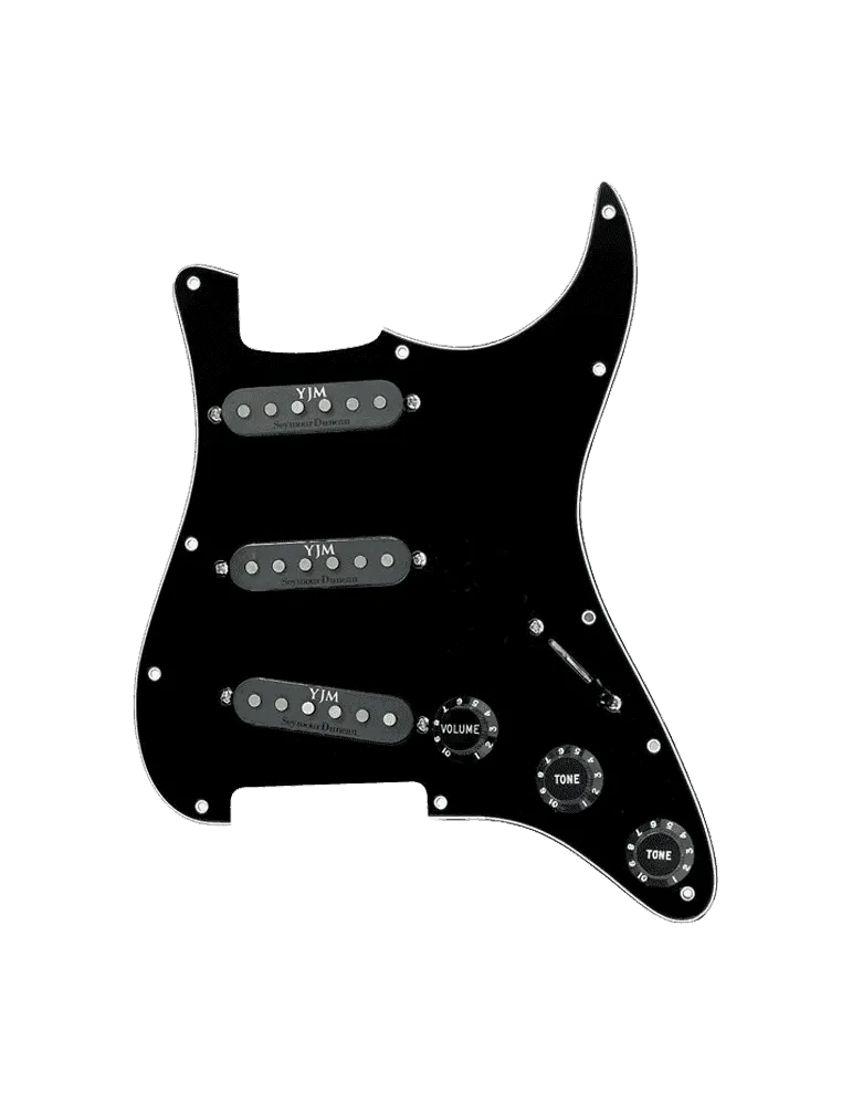 SEYMOUR DUNCAN STK-S10PGD | MusicGoodDeal