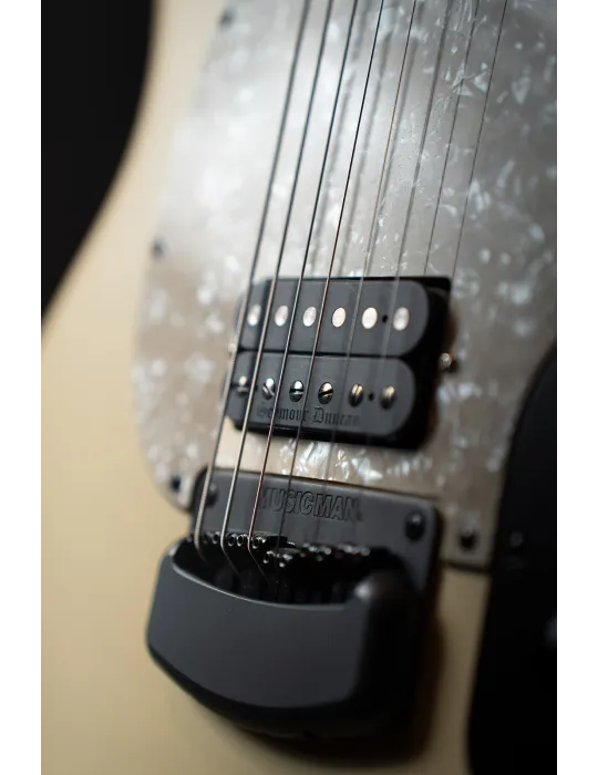 SEYMOUR DUNCAN CS-FLUFF-BRIDGE | MusicGoodDeal