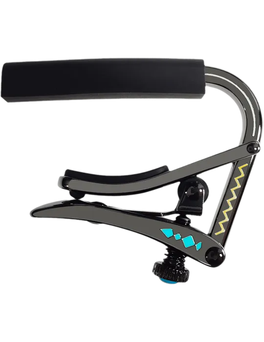 SHUBB C2D | MusicGoodDeal