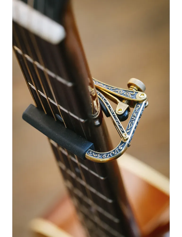 SHUBB EC1B | MusicGoodDeal