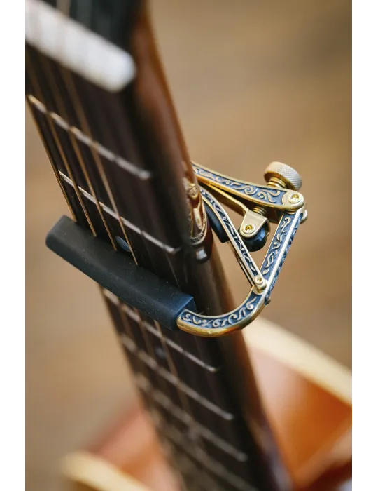 SHUBB EC1B | MusicGoodDeal