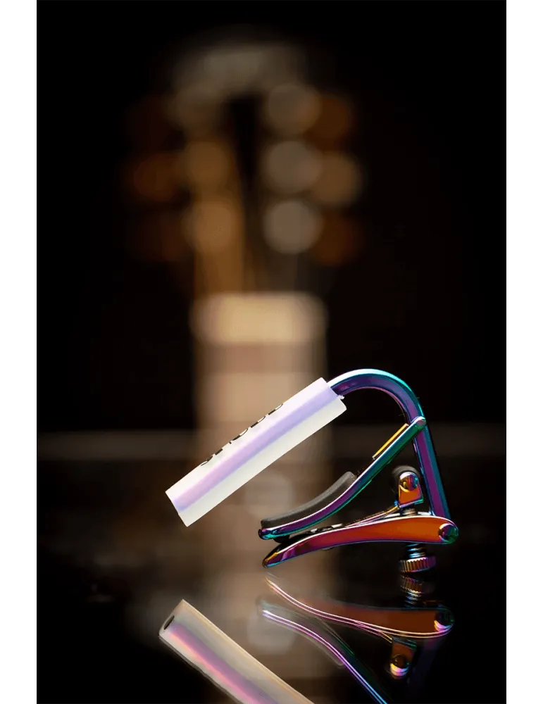 SHUBB C1P | MusicGoodDeal