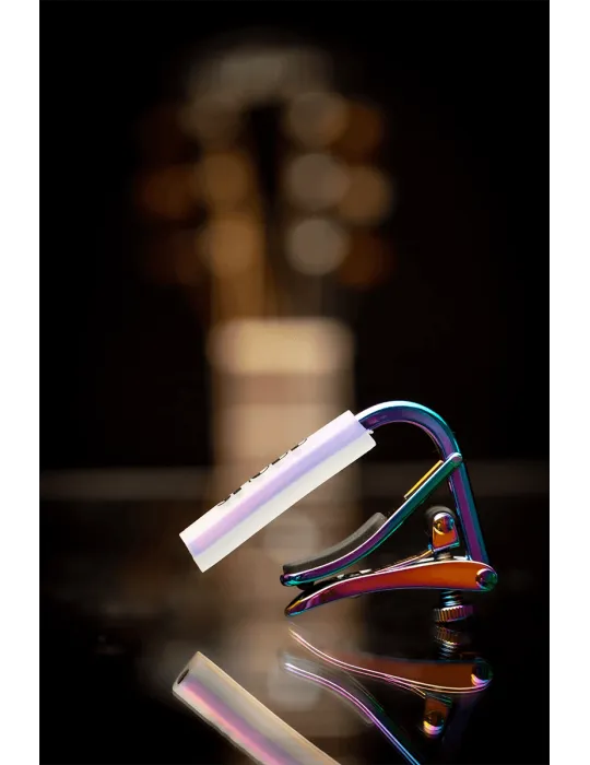 SHUBB C1P | MusicGoodDeal