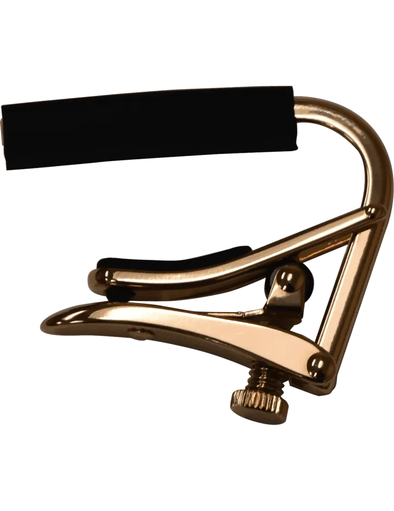 SHUBB C2RG | MusicGoodDeal