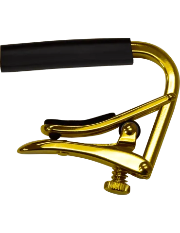 SHUBB C3G | MusicGoodDeal